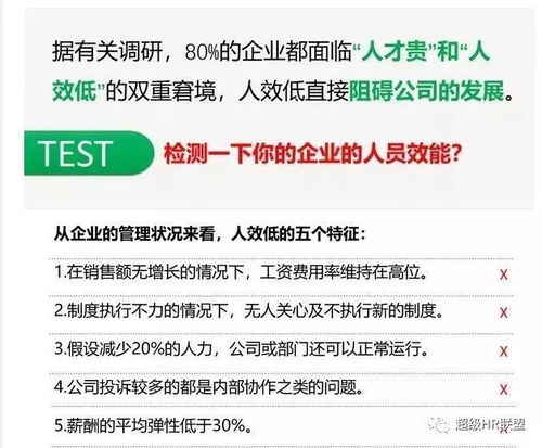 人才盘点 校招定制 卡片建模 现场咨询 领导力培训